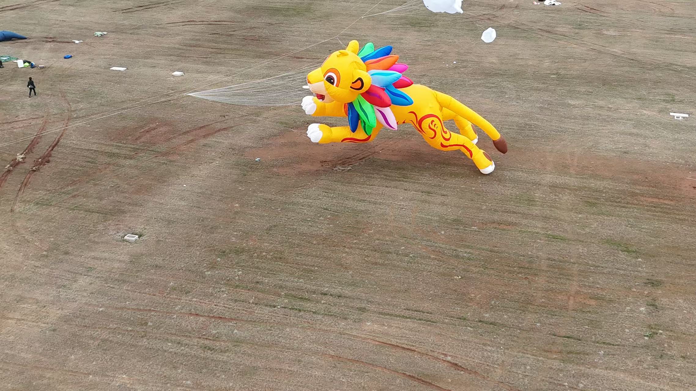 丹东市品牌风筝定制风筝定制 - 厂家